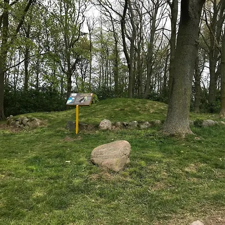 Strandhuepfer Auf Der Insel Fehmarn Petersdorf auf Fehmarn