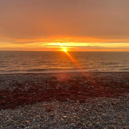 Strandhuepfer Auf Der Insel Fehmarn