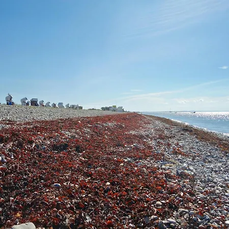 דירה Einladende Auf Fehmarn