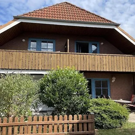 Strandhuepfer Auf Der Insel Fehmarn